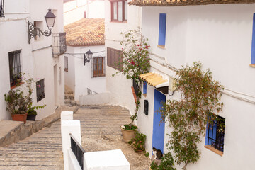 Fototapeta na wymiar Beautiful narrow street in the old town of Altea with white houses and blue decor and a paved road with flower pots, Spain