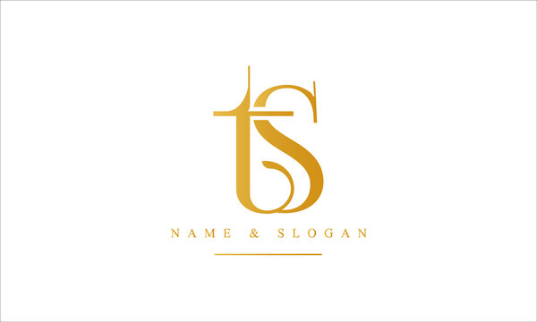 ST, TS, S, T abstract letters logo monogram