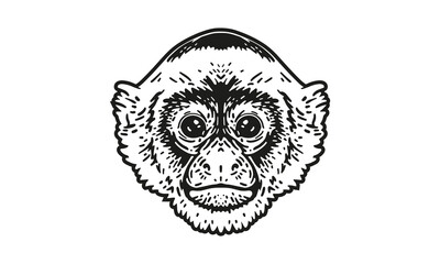 capuchin logo on white background