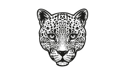leopard logo on white background - obrazy, fototapety, plakaty