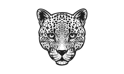 Foto op Plexiglas leopard logo on white background © Janja