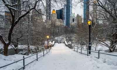 Foto op Plexiglas Gapstow Brug Gapstow Bridge in Central Park na sneeuwstorm