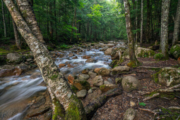 Along the Kancamagus Highway