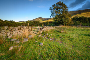 Fototapeta na wymiar Drystone Wall in College Valley at Hethpool. Hethpool is a hamlet in the College Valley through which runs College Burn set in the Cheviot Hills in Northumberland National Park