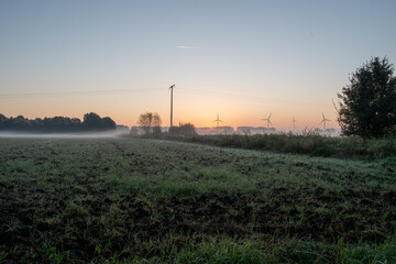 Über eine Wiese hinweg vorbei an einer Hochleitung ,eine Baumgruppe am Rande und der noch kriechende Dunst am linken Bildrandweiter zu Windrädern hinter denen die Sonne nun aufgeht