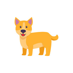 lovely pet  dog vector illustration design on white background