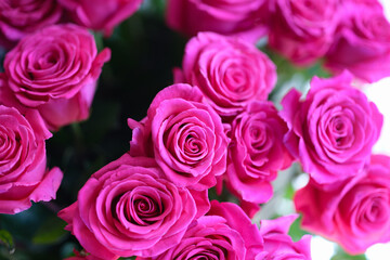 Closeup of large chic bouquet of roses background