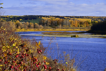 Golden autumn on the banks and in the valley of the pure Ural river Sylva