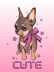 Cute chihuahua sketch. Dog with shiny bow. Vector illustration in hand-drawn style	