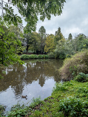 Fototapeta premium Lake in the park early autumn