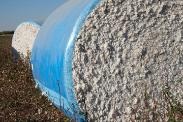 cotton bales, bales collected in the field together.