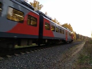 Fototapeta premium train on the railway in autumn forest in sunny evening