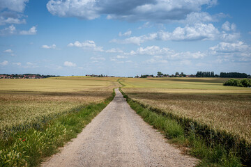 Fototapeta na wymiar road in the field under blue sky and clouds