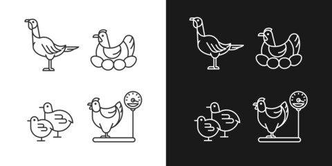 Domestic hens linear icons set for dark and light mode. Female birds. Turkey and chicken. Brood hen. Customizable thin line symbols. Isolated vector outline illustrations. Editable stroke