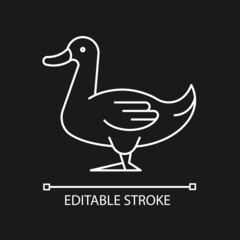 Domestic duck linear icon for dark theme. Poultry farming industry. Commercial duck growing. Thin line customizable illustration. Isolated vector contour symbol for night mode. Editable stroke