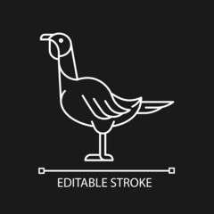 Female turkey linear icon for dark theme. Poultry farming for food. Thanksgiving dinner. Landfowl. Thin line customizable illustration. Isolated vector contour symbol for night mode. Editable stroke