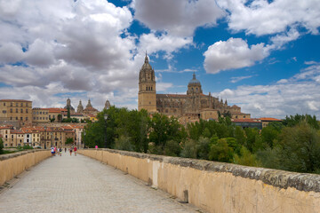Fototapeta na wymiar Catedral de la Asunción de la Virgen en la ciudad de Salamanca, España