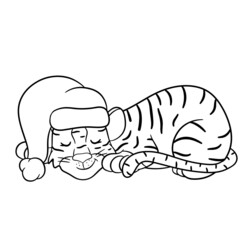 Tiger in Santa hat is sleeping in anticipation of Christmas.  The symbol of the new year according to the Chinese or Eastern calendar. Outline for coloring. Vector editable illustration, cartoon style