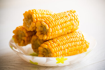 a few heads of boiled corn on a plate