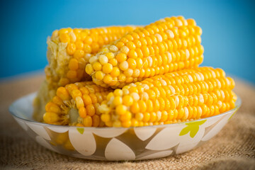 a few heads of boiled corn on a plate