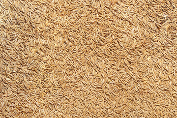 Oat grain texture. Natural organic market. Closeup ecology. Farming flakes view. Groats wallpaper. Whole oatmeal background. Crop cereal seeds. Brown and yellow heap. Hard shadows. Horizontal
