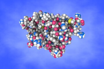 Molecular model of interleukin-36 alpha. Atoms are shown as spheres with color coding: carbon (gray), oxygen (red), hydrogen (white), nitrogen (blue), sulfur (yellow). 3d illustration