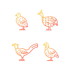 Landfowl gradient linear vector icons set. Japanese quail. Pheasant family. Guinea fowl. Commercial poultry farming. Thin line contour symbols bundle. Isolated outline illustrations collection