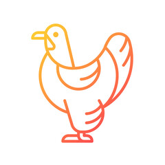 Brahma hen gradient linear vector icon. American chicken breed. Raising domestic bird for meat. Feathered shanks, toes. Thin line color symbol. Modern style pictogram. Vector isolated outline drawing