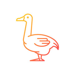 Goose gradient linear vector icon. Poultry farming. Commercial geese growing. Waterfowl. Canadian and white goose. Thin line color symbol. Modern style pictogram. Vector isolated outline drawing