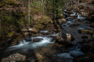 Fototapeta premium Stream in the Forest
