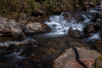 Small Waterfall in Forest