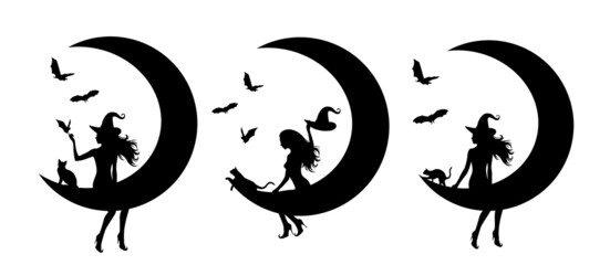 Set of silhouettes of witches with the moon.