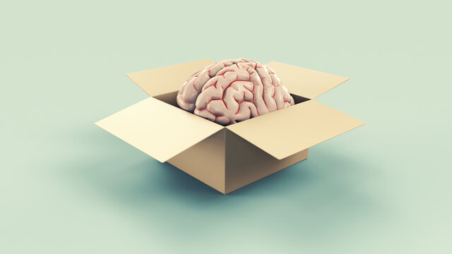 Human brain inside a box . Think outside the box and self development concept . This is a 3d render illustration .