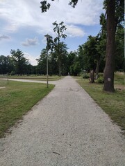 path in the park
