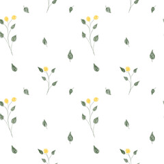Fototapeta na wymiar Seamless white background with plants, flowers and leaves