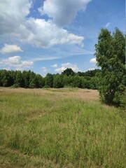 field and blue sky