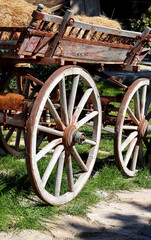 Fototapeta na wymiar old vintage wagon on the farm
