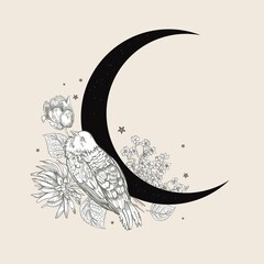 Black crescent and white flowers. Space illustration. Vintage illustration. © Tutsi_N