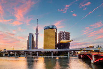 Fototapeta na wymiar Tokyo skyline in Japan on the Sumida River