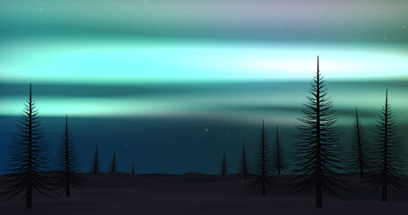 Image of aurora borealis glowing over silhouettes of fir trees