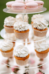 welcome buffet with alcohol and cupcakes