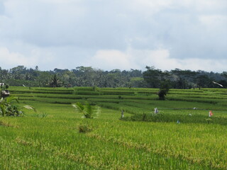 Richfield at kedewatan Ubud,bali