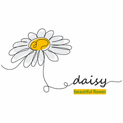 Continuous one line drawing of oxeye daisy in silhouette on a white background. Linear stylized.