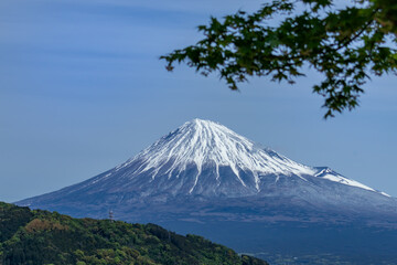 Fototapeta na wymiar 富士山　静岡