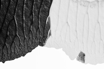 black white abstract acrylic painting color texture on white paper background by using rorschach inkblot method