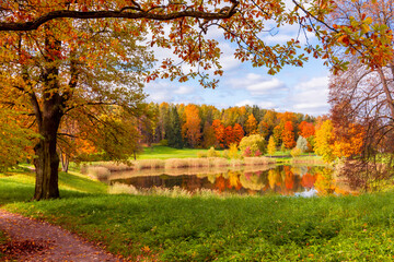 Autumn foliage at the pond in Pavlovsky park, Pavlovsk, St. Petersburg, Russia