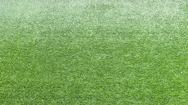 Rain falling on grass, artificial grass