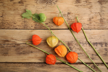 Physalis branches with colorful sepals on wooden table, flat lay
