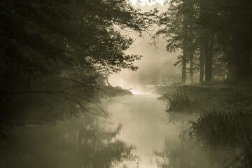 Peace and quiet on the river bank, sunny shore - a view of the calm river