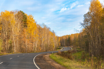 Fototapeta premium road in autumn